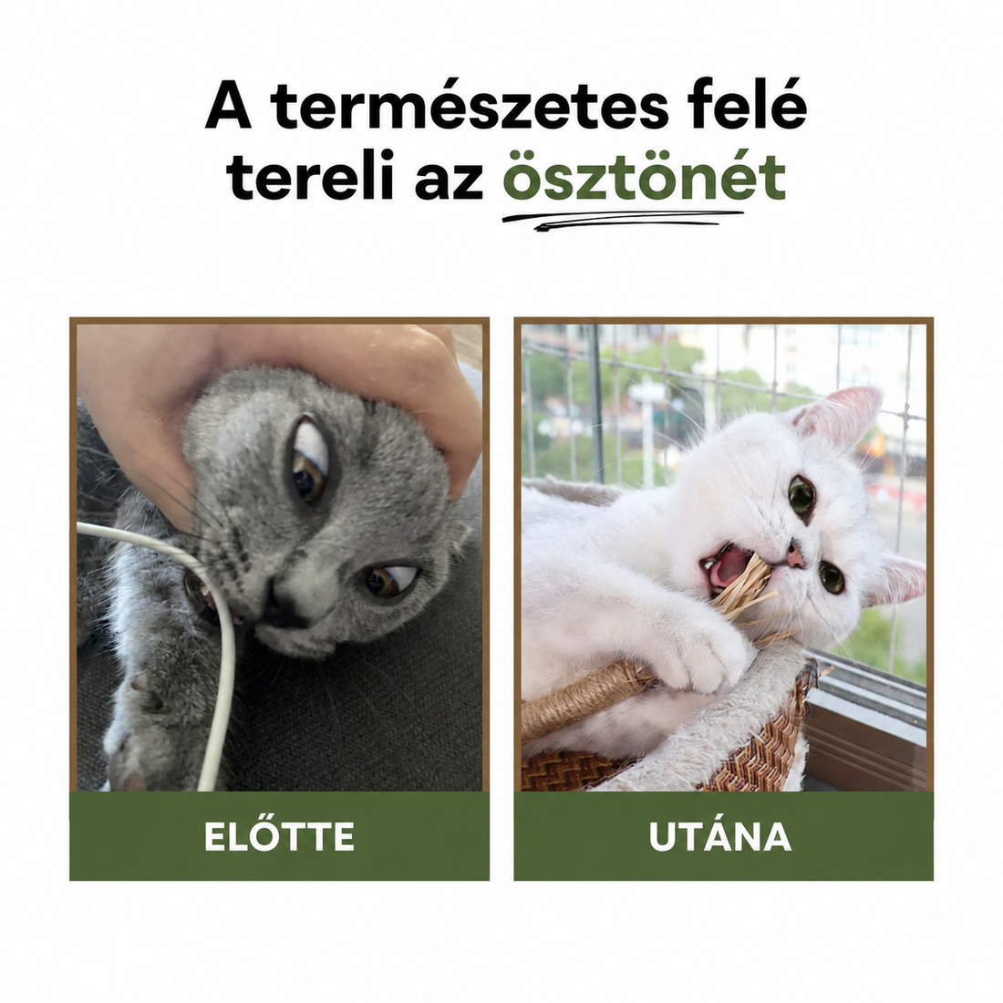 A természetes felé tereli az ösztönét