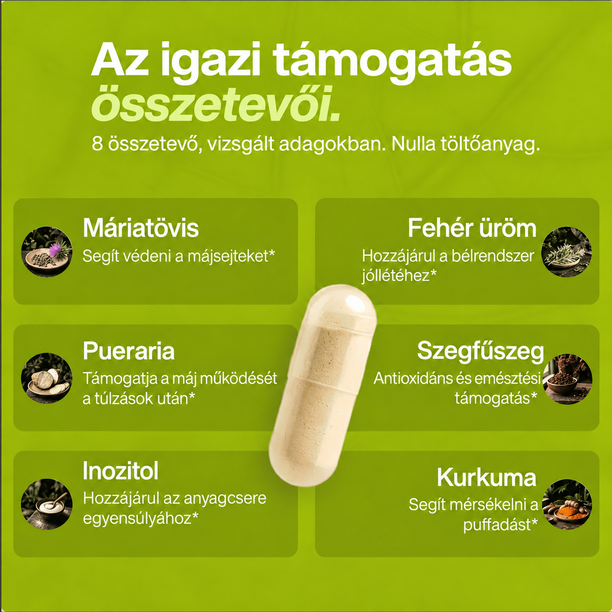 ZAVMIA – Máriatövis · májtámogatás