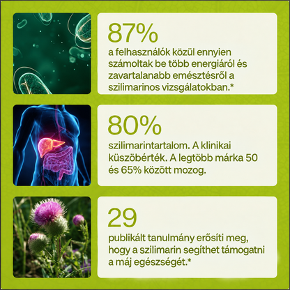 ZAVMIA – Máriatövis · májtámogatás