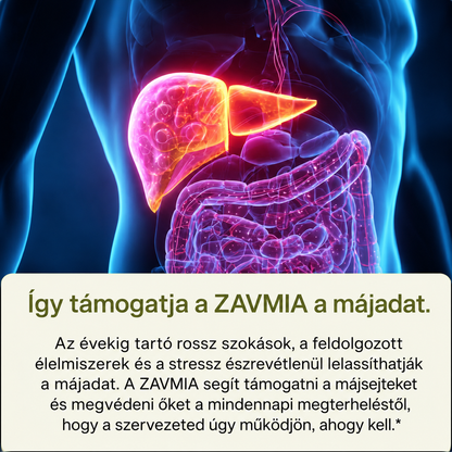 ZAVMIA – Máriatövis · májtámogatás