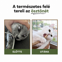 A természetes felé tereli az ösztönét
