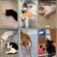 Vásárlóink Instagram-történetei